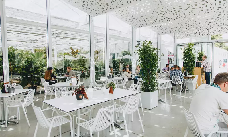 Christchurch Ilex Cafe Inside