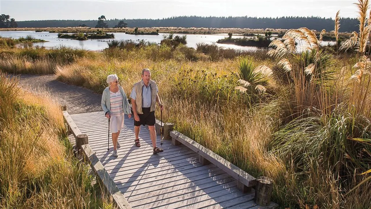Te Kohanga Wetlands