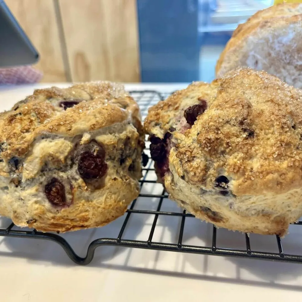 Fika Coffee Blueberry Scone