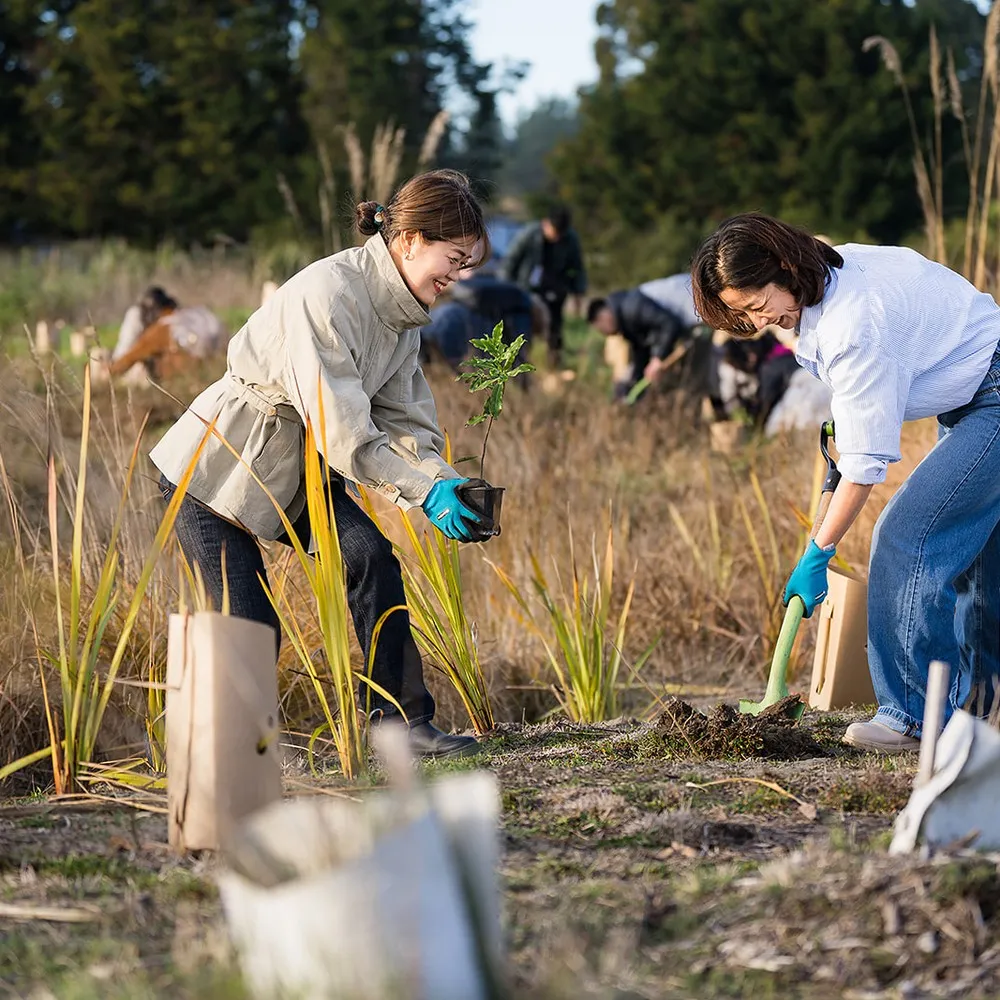 Ladies planting trees
