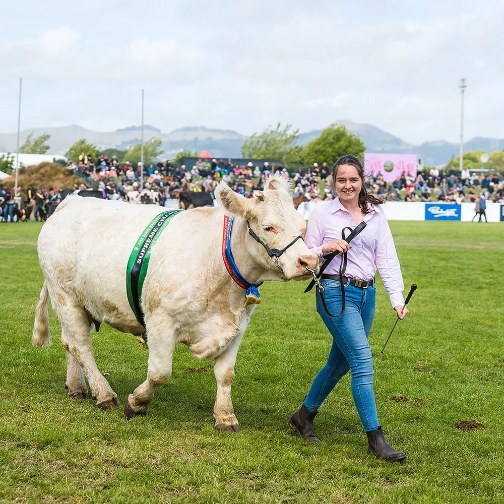 Royal A&P New Zealand Show