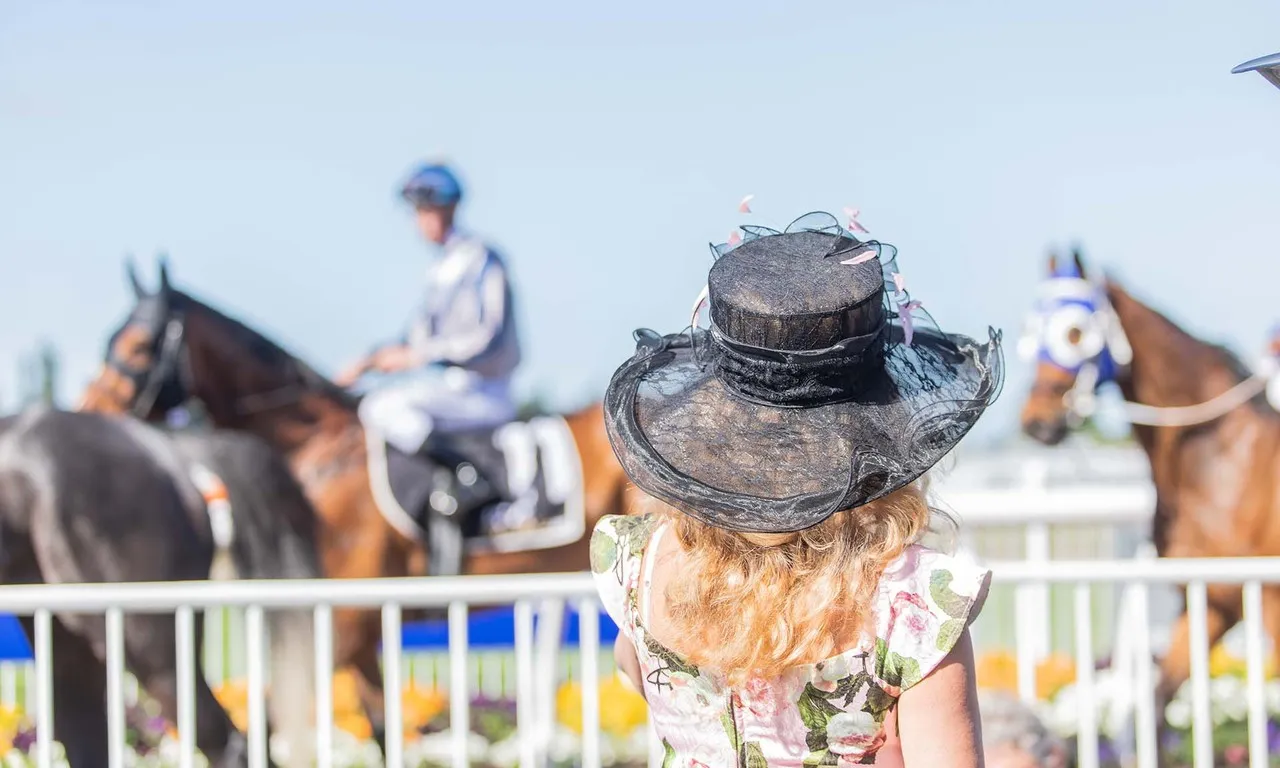 Back of lady with large hat on watching the horse races at Riccarton Park