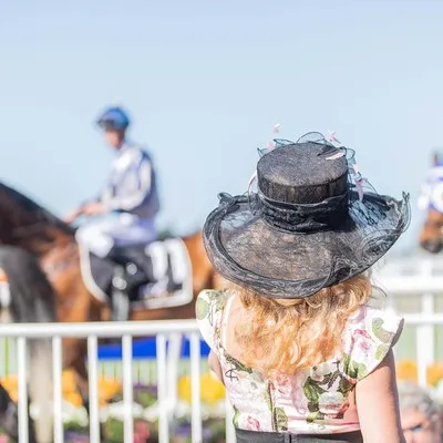 Back of lady with large hat on watching the horse races at Riccarton Park