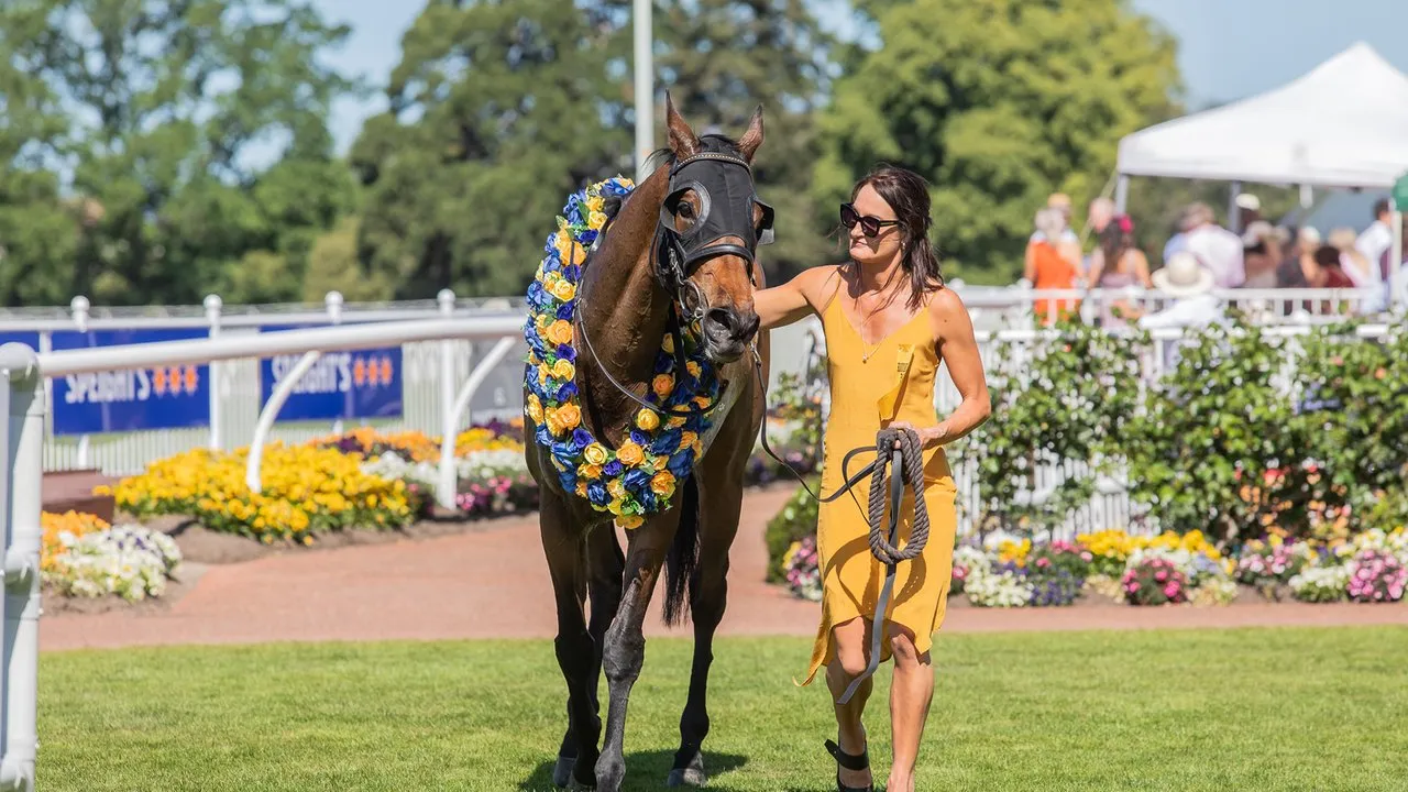 Lady with horse at the races