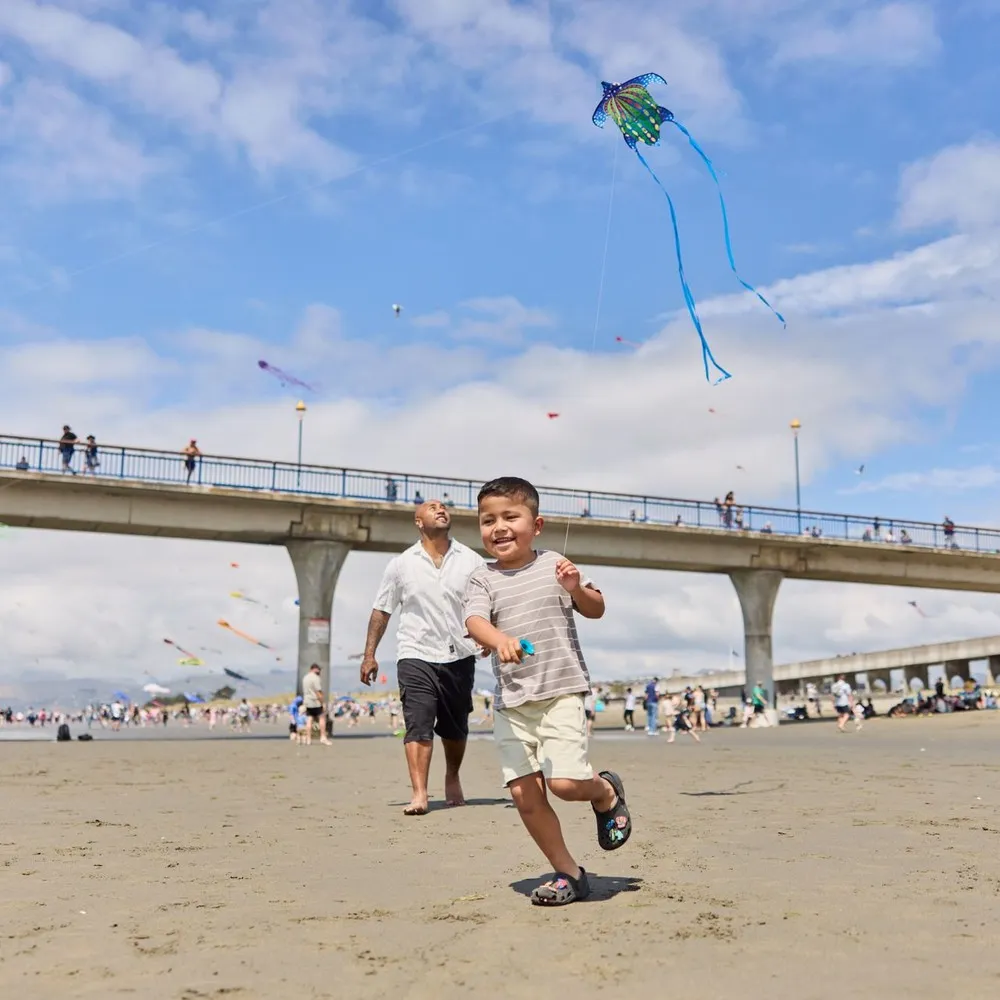 Family having a nice time at kite day