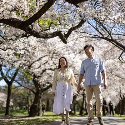 Couple walking under blossom tree