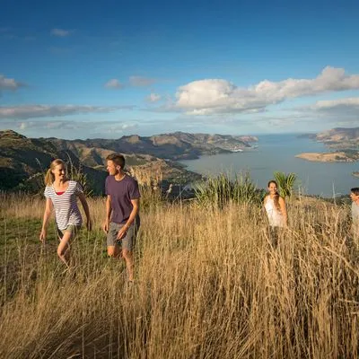 summer walking on the port hills