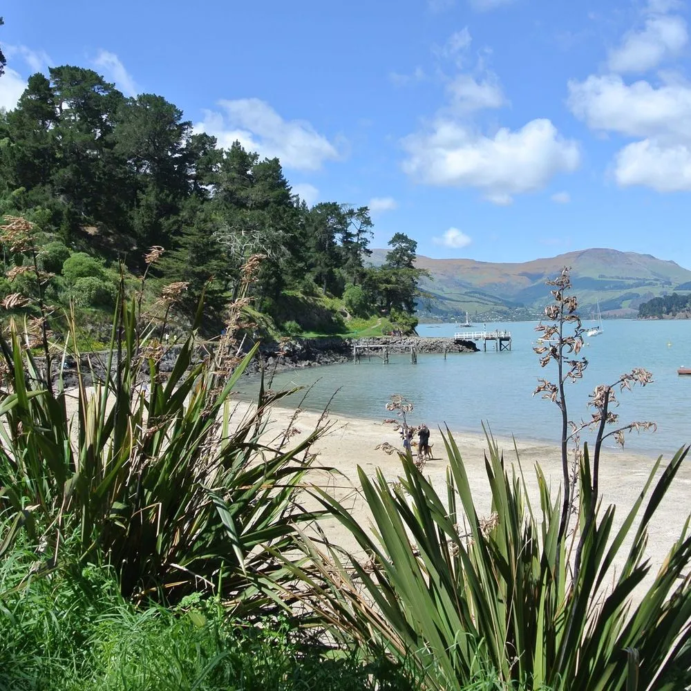 Corsair Bay looking out to Quail Island