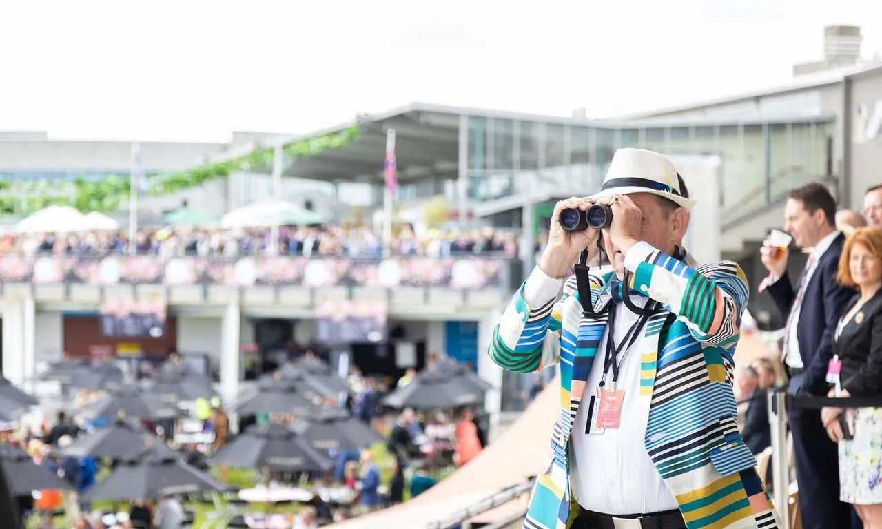 World Driving Championship