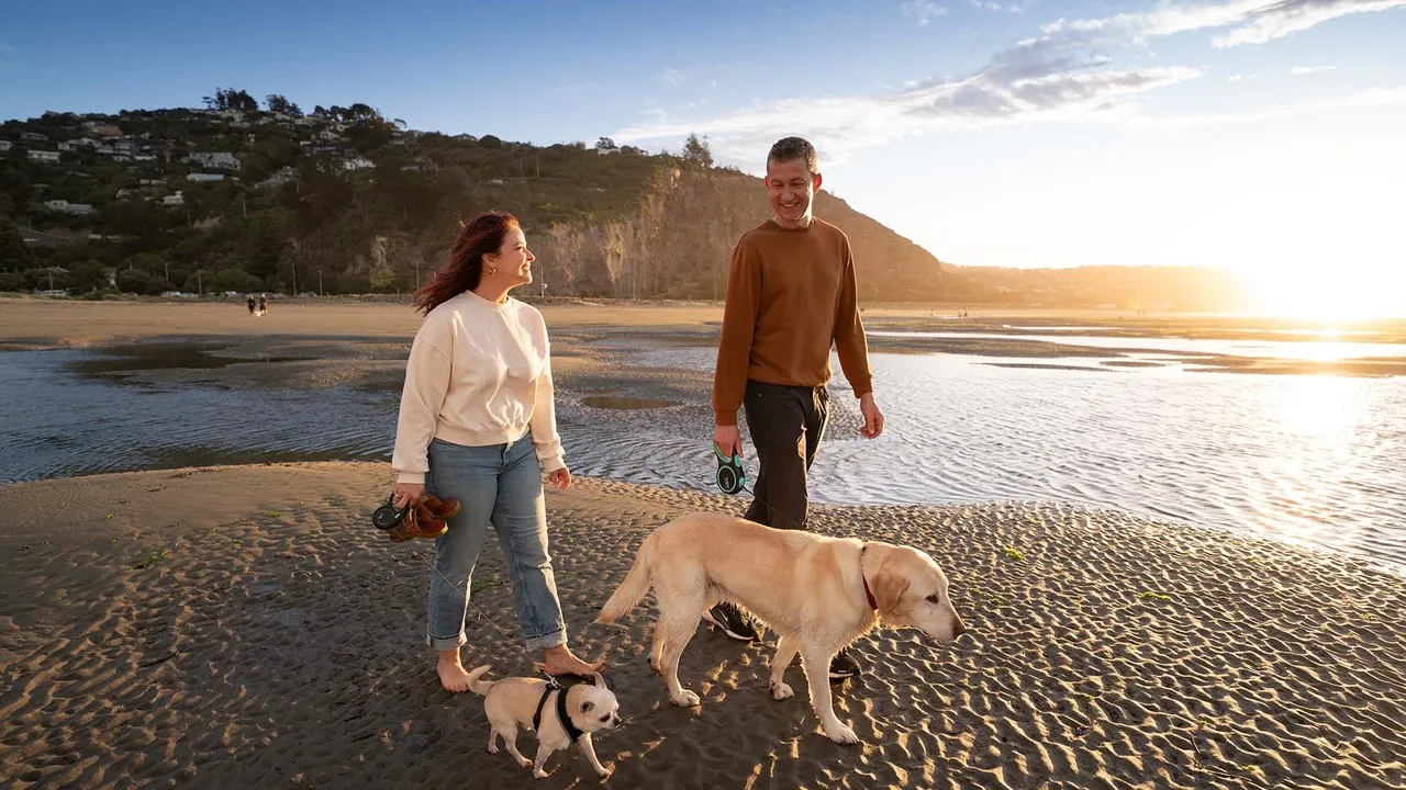 Chelsea Rapp walking the dogs