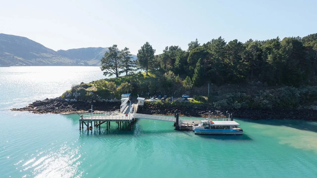 Black Cat Cruises Quail Island