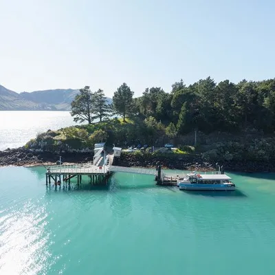 Black Cat Cruises Quail Island