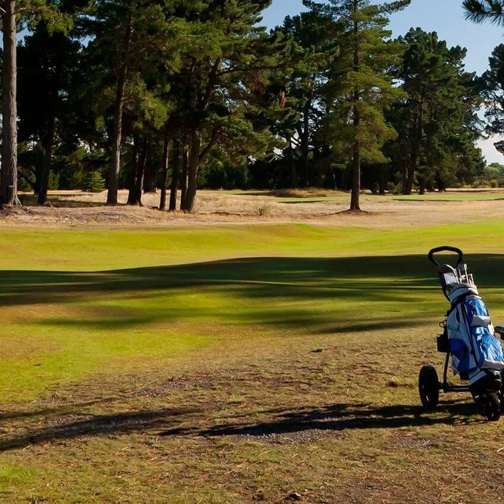 Golf clubs at Harwood Golf Club