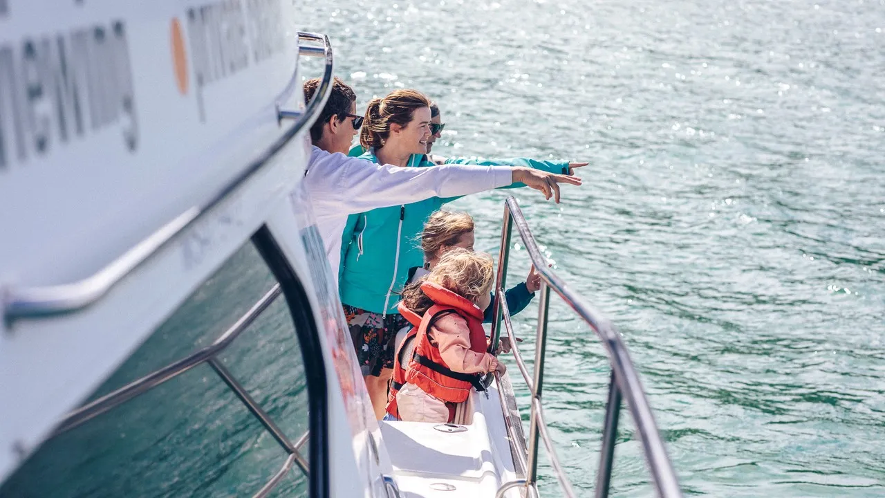 Akaroa harbour cruise