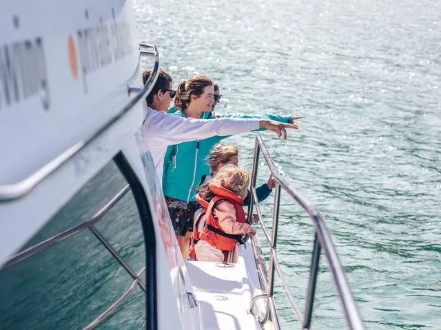 Akaroa harbour cruise