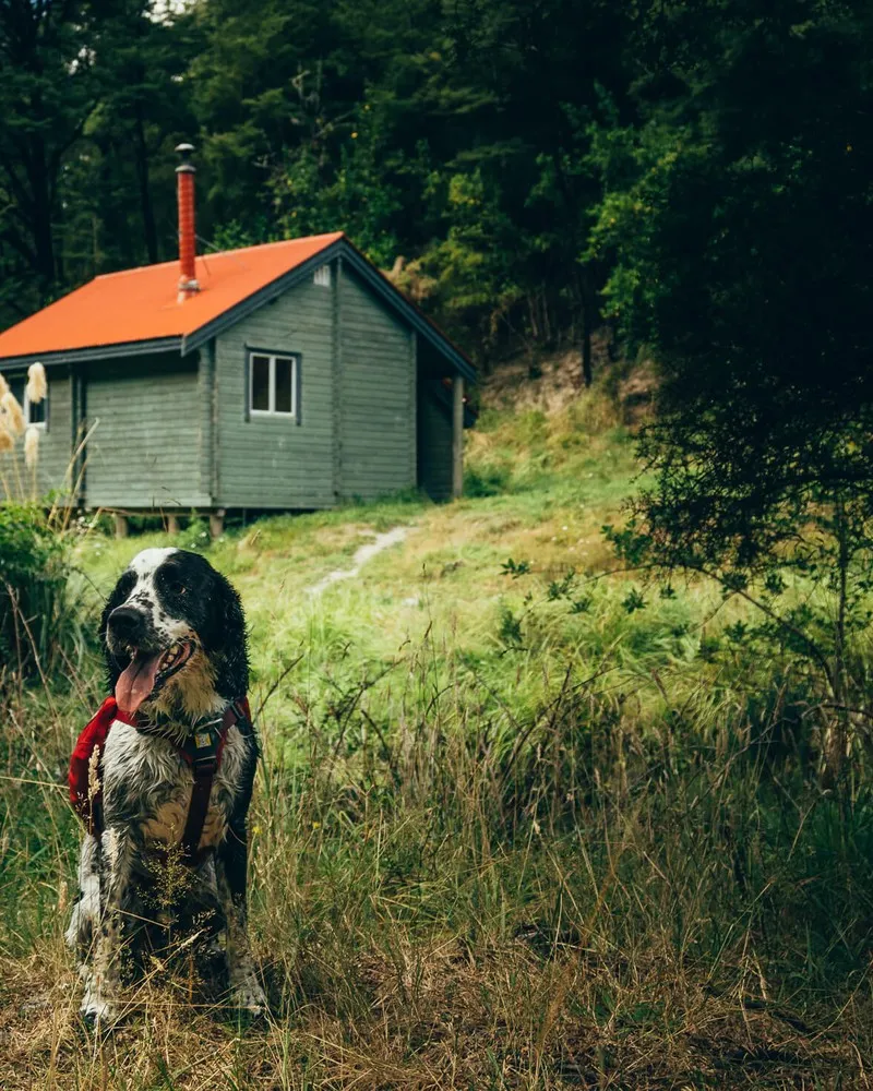 Pinch gut hut view of hut with dog