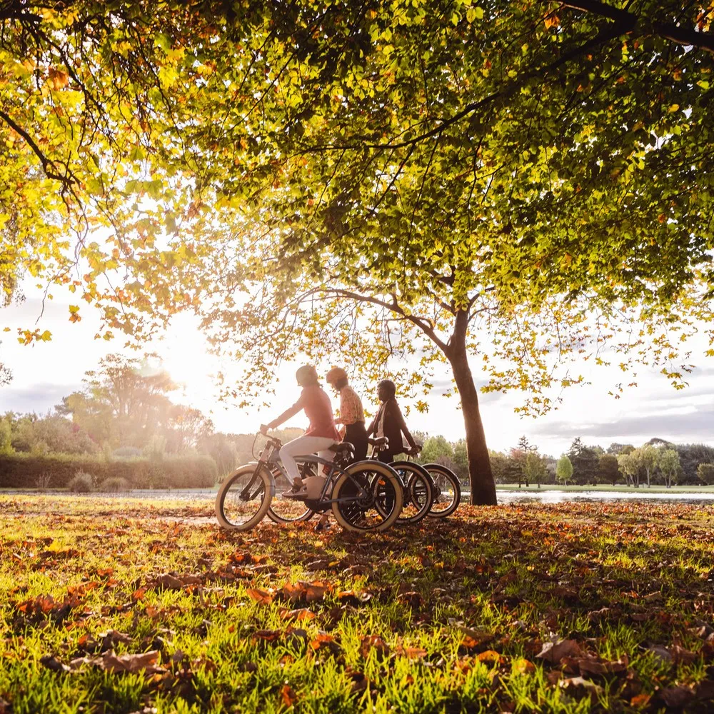 Group biking through Hagley Park in Autumn.
