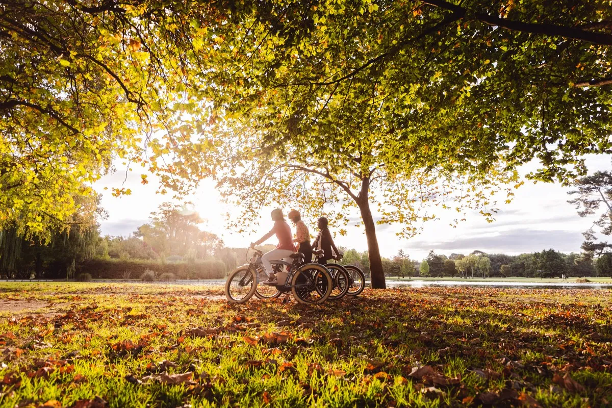 Group biking through Hagley Park in Autumn.