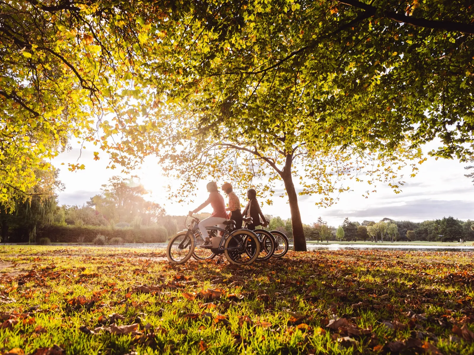 Group biking through Hagley Park in Autumn.
