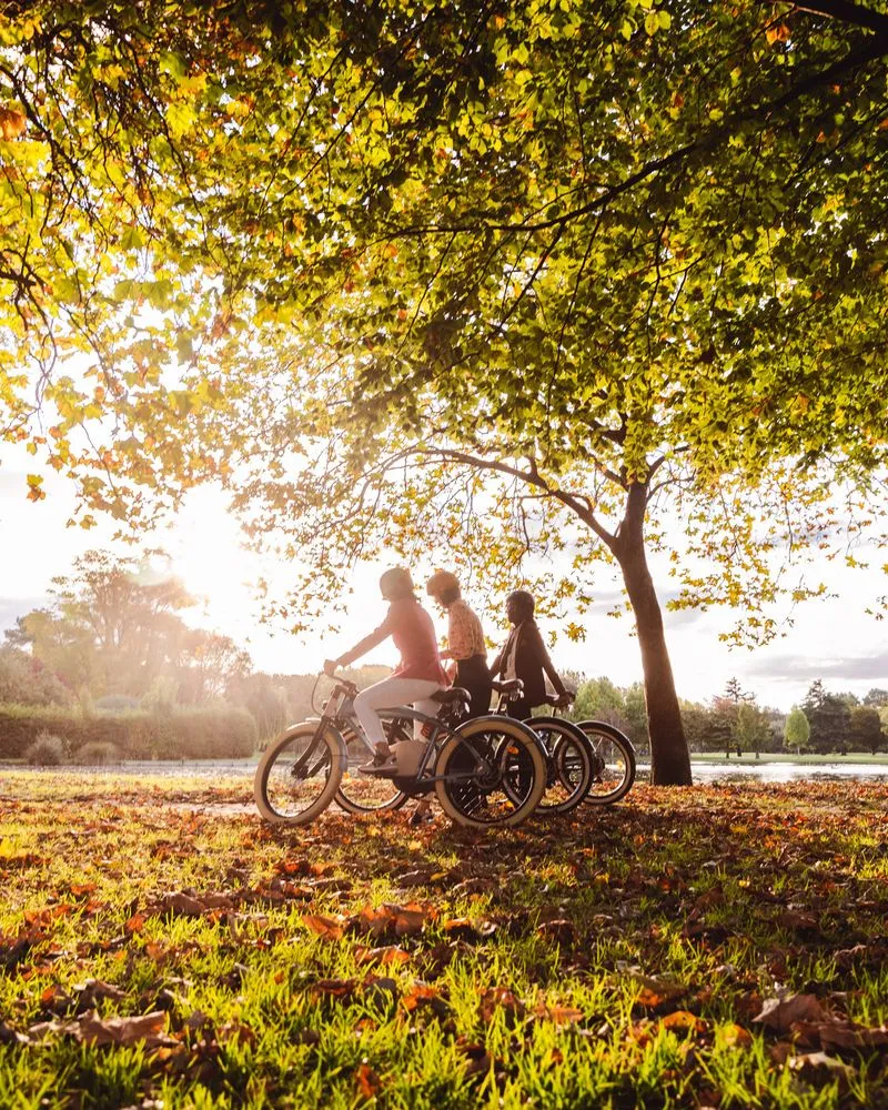 Group biking through Hagley Park in Autumn.