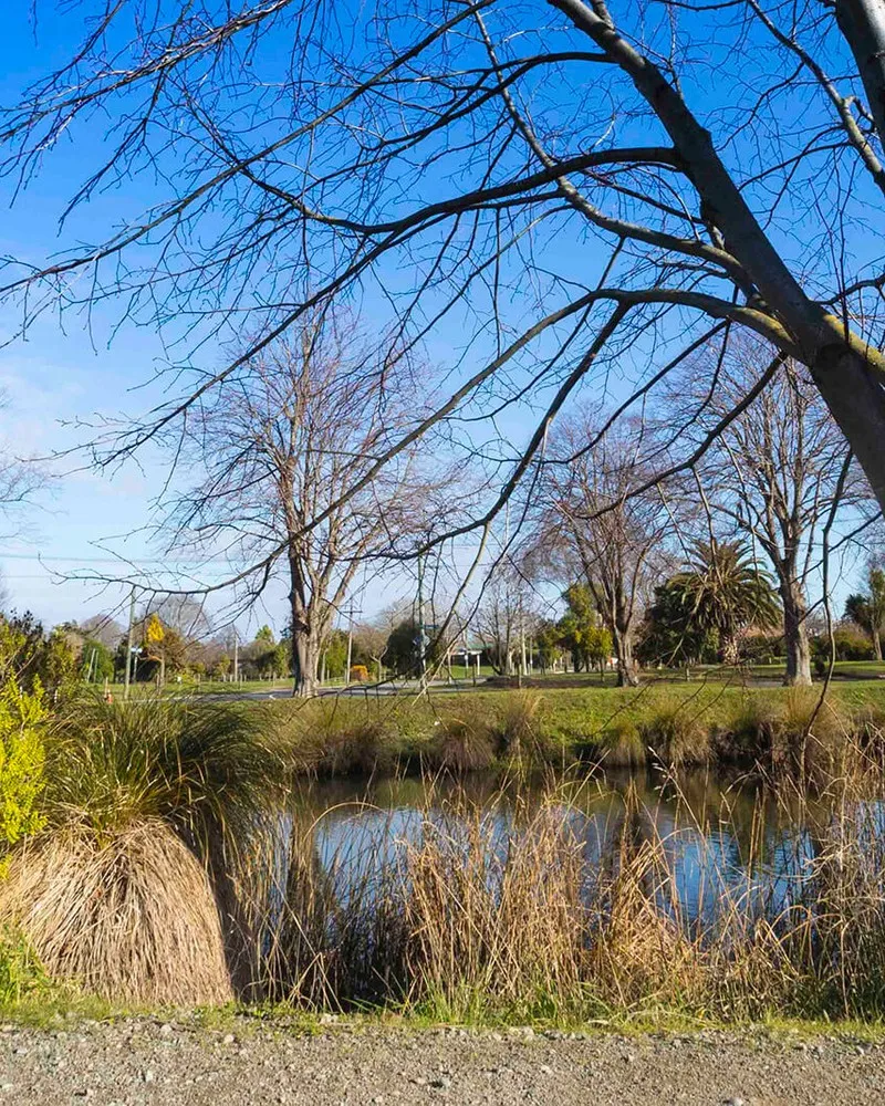 Sign showcasing the Te Ara Ōtākaro Avon River Trail