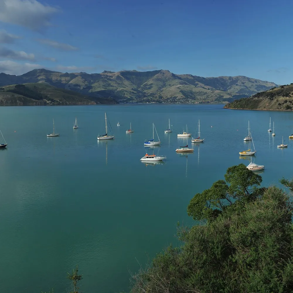 View of boats moored in Akaroa Harbour from French Farm.