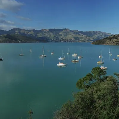 View of boats moored in Akaroa Harbour from French Farm.