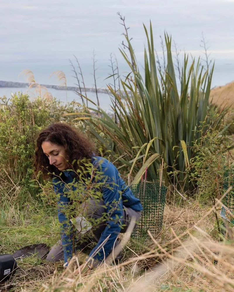 A lady planting trees in the Christchurch Port Hills