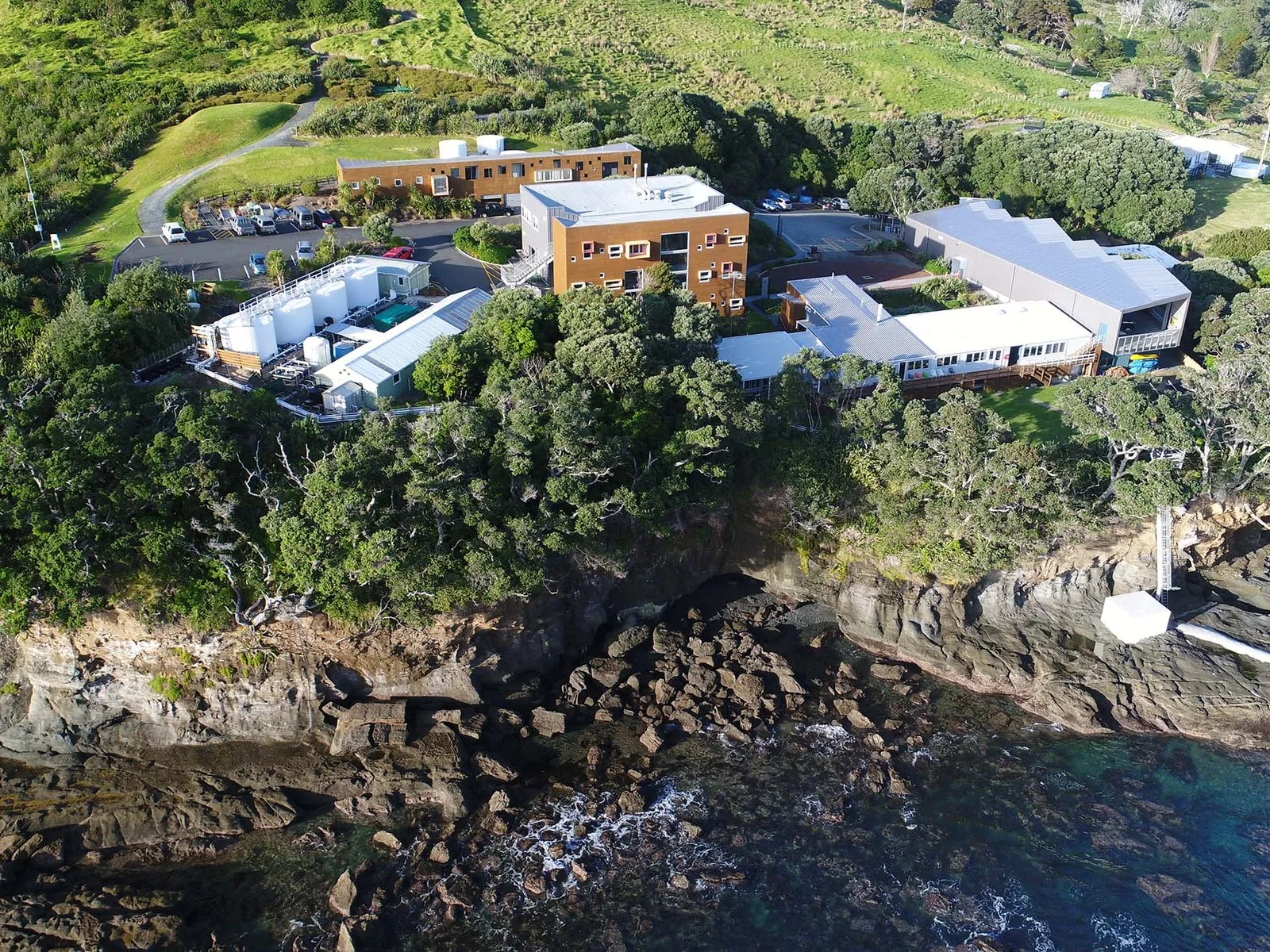 Antarctic University of Auckland