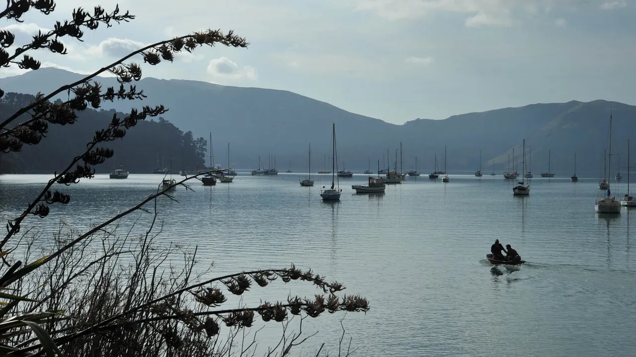 A view of Akaroa harbour with boats