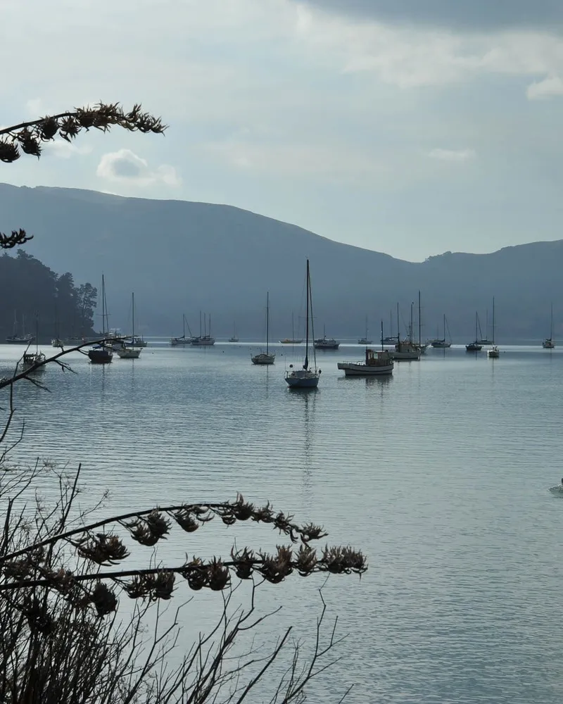 A view of Akaroa harbour with boats