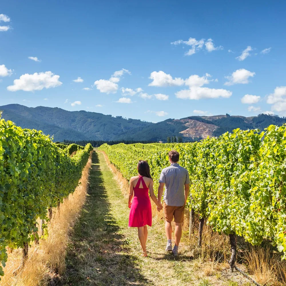 Couple walking through Waipara Vineyard