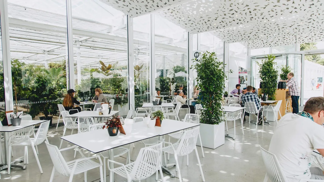 Inside the Ilex Cafe