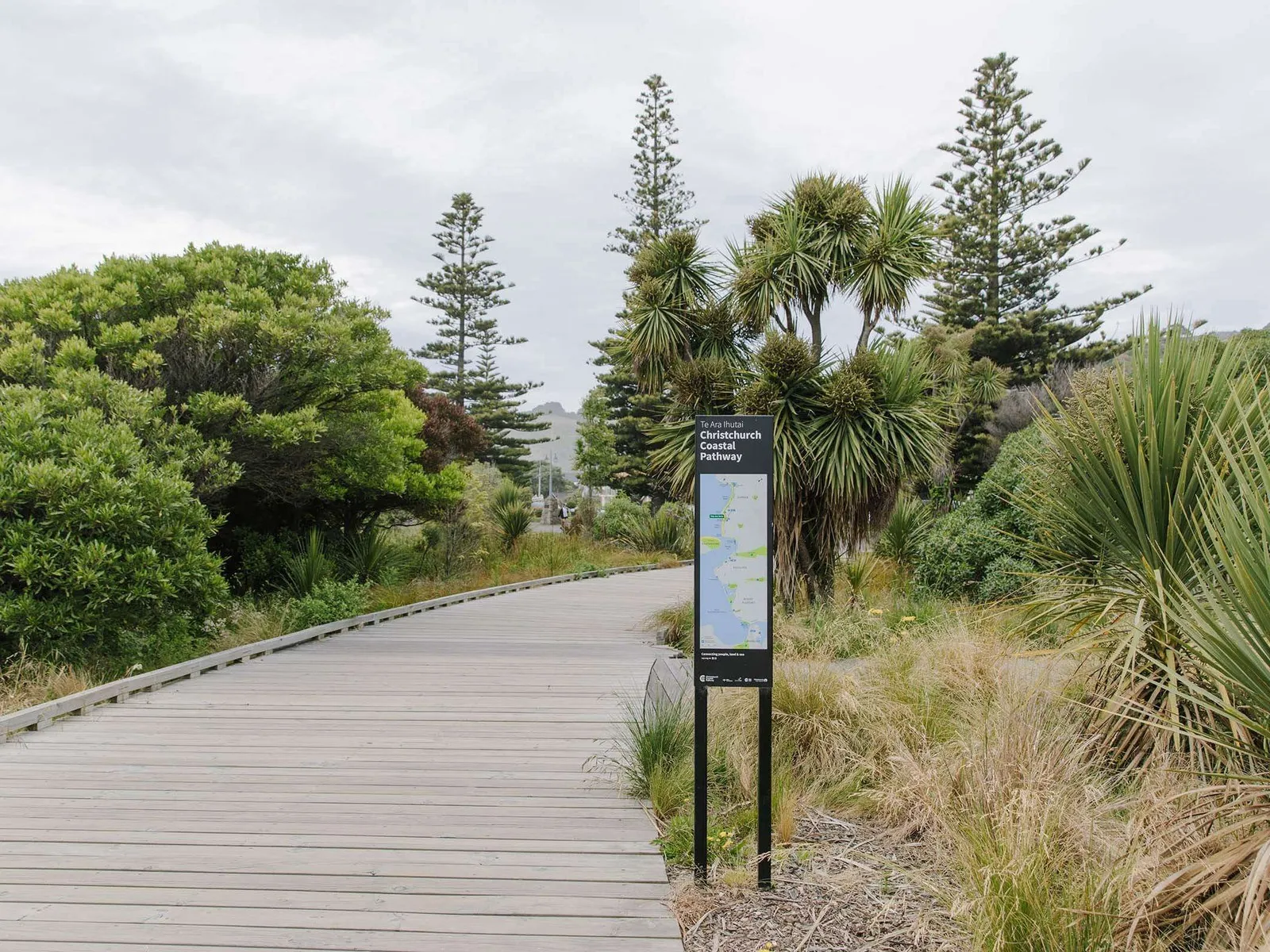 A boardwalk on the Coastal Pathway