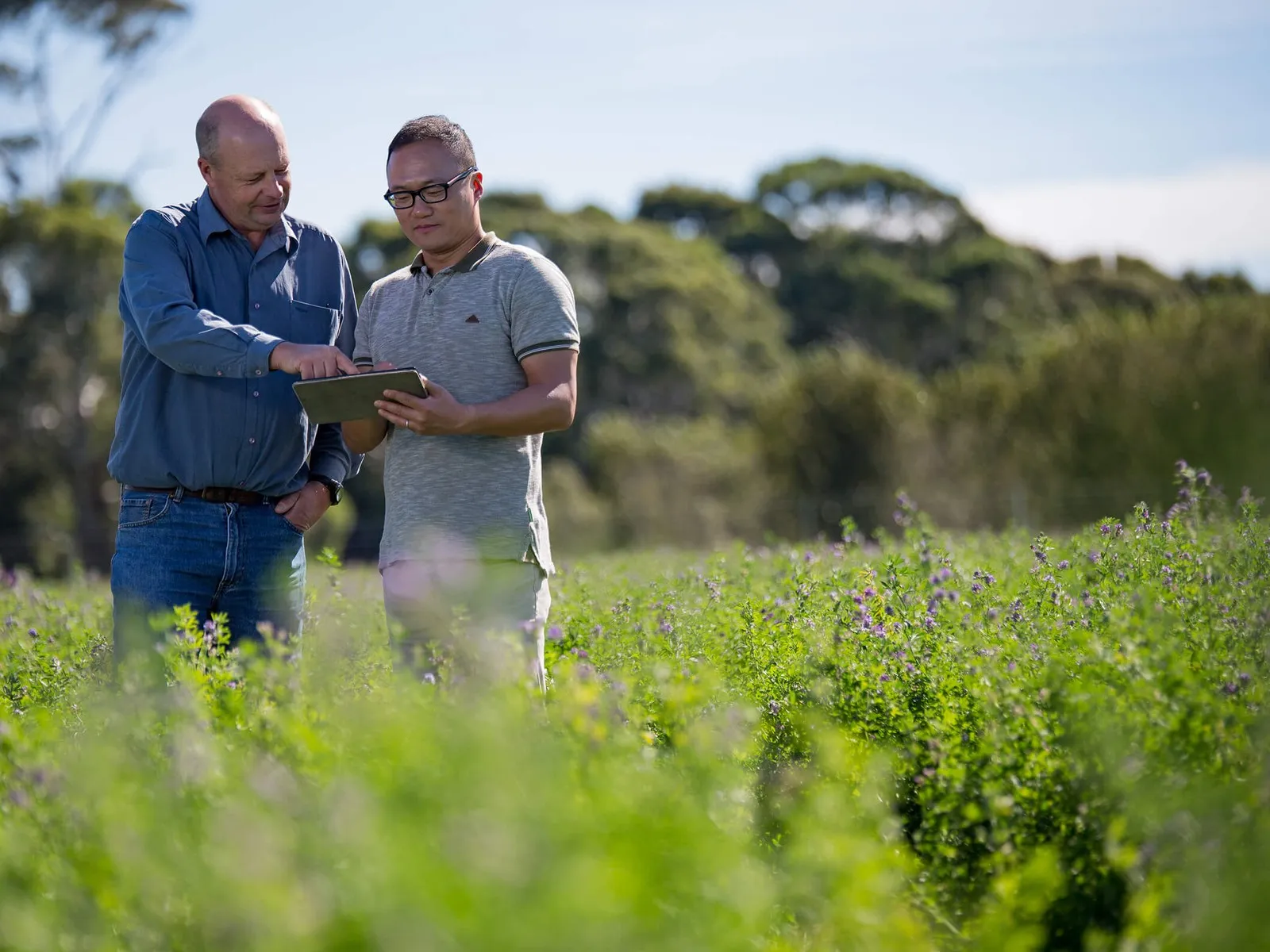 Two men analysing a field with technology