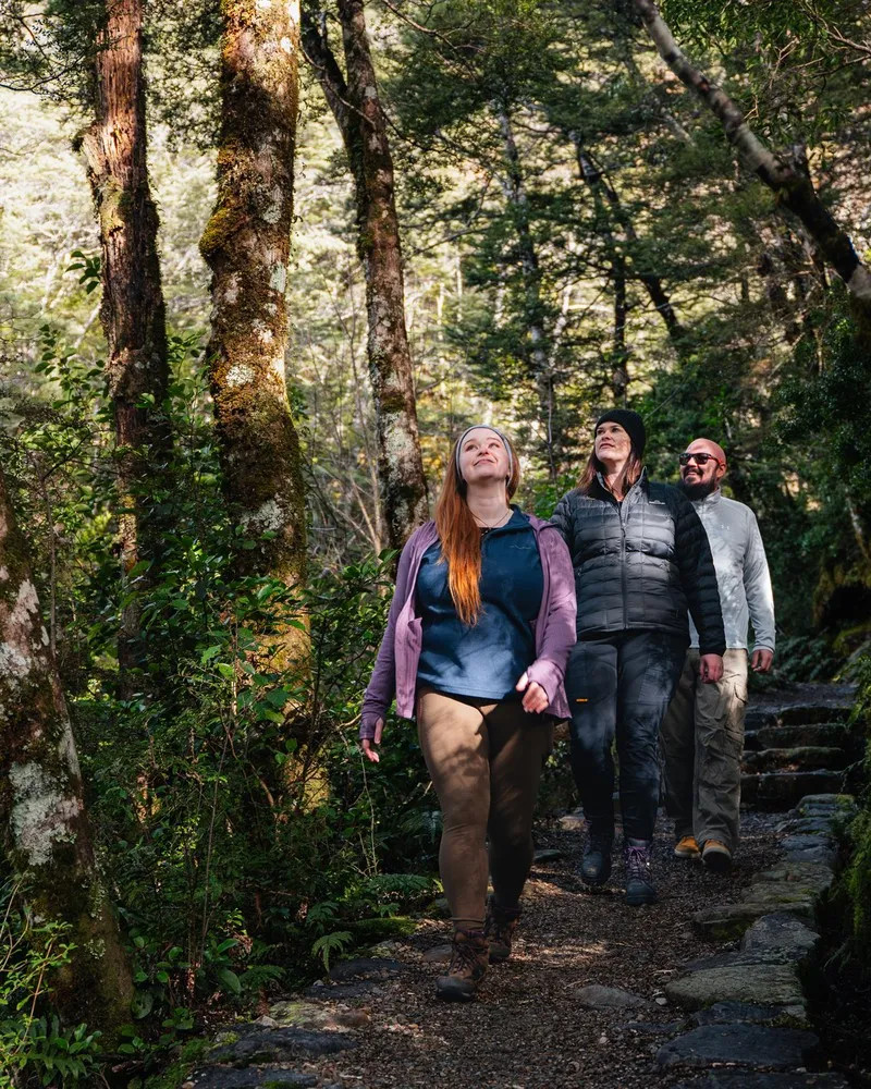 Group walking at Avalanche Creek Falls Arthurs Pass Selwyn.