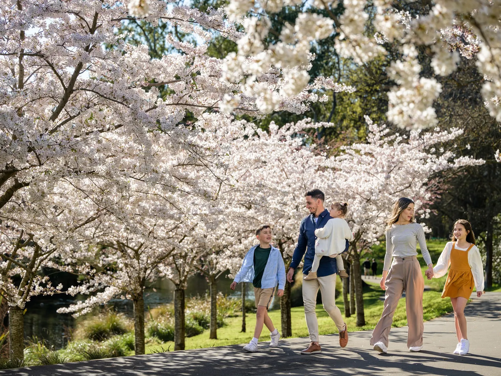 A family enjoying the Cherry Blossoms at the Botanic Gardens.