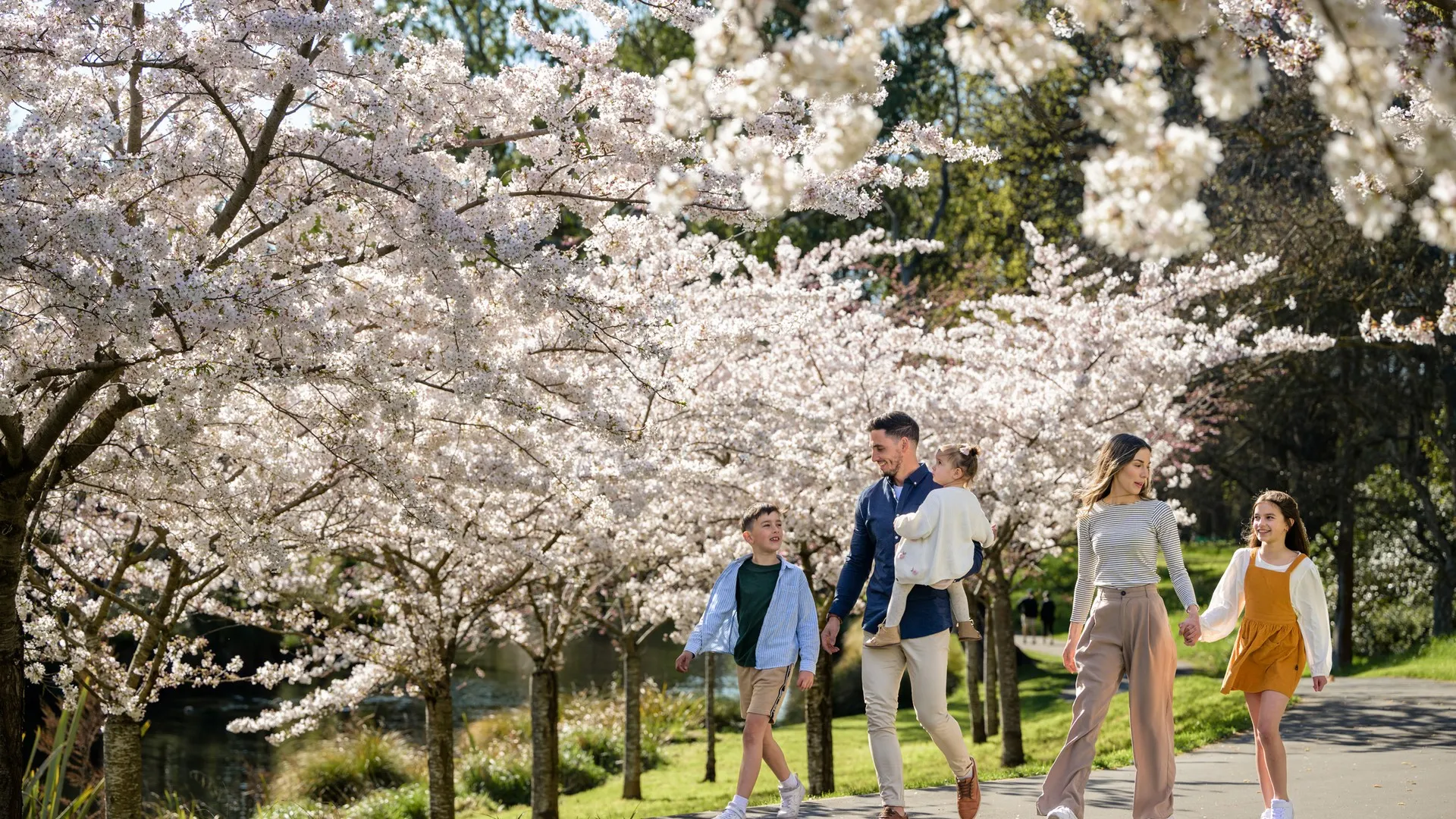 A family enjoying the Cherry Blossoms at the Botanic Gardens.