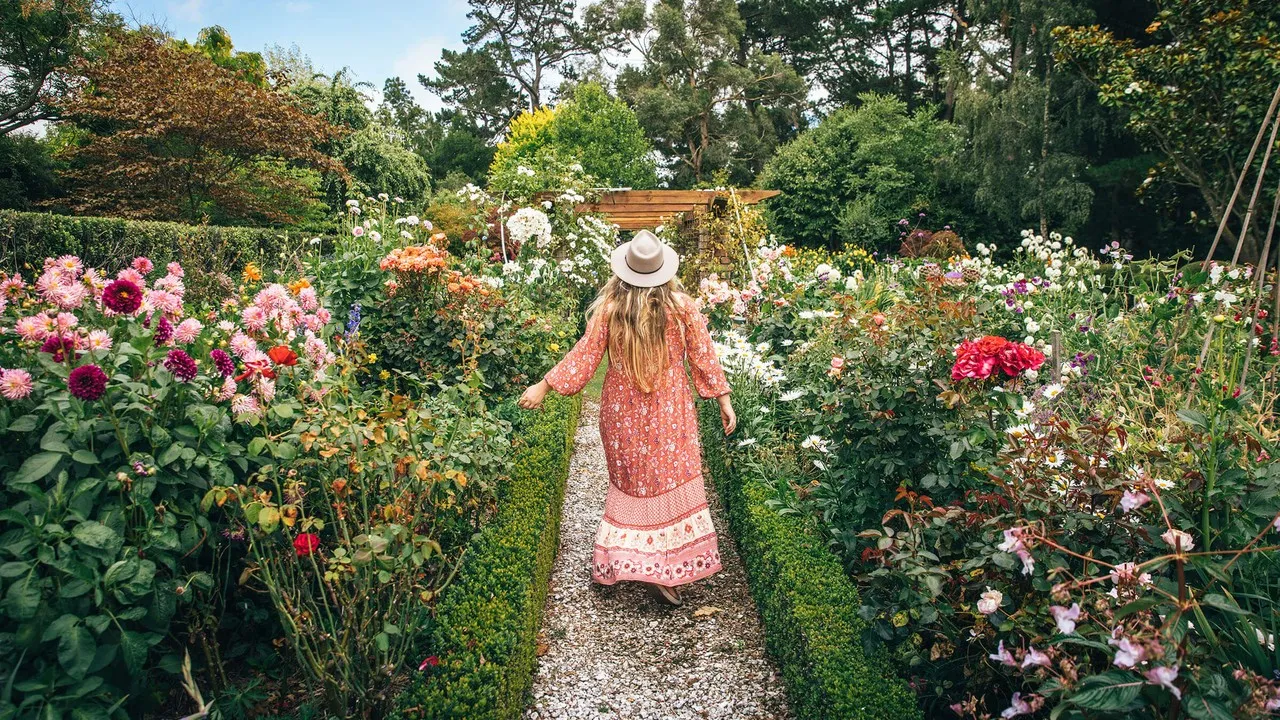 Lady in the rose garden at Pegasus Bay Winery