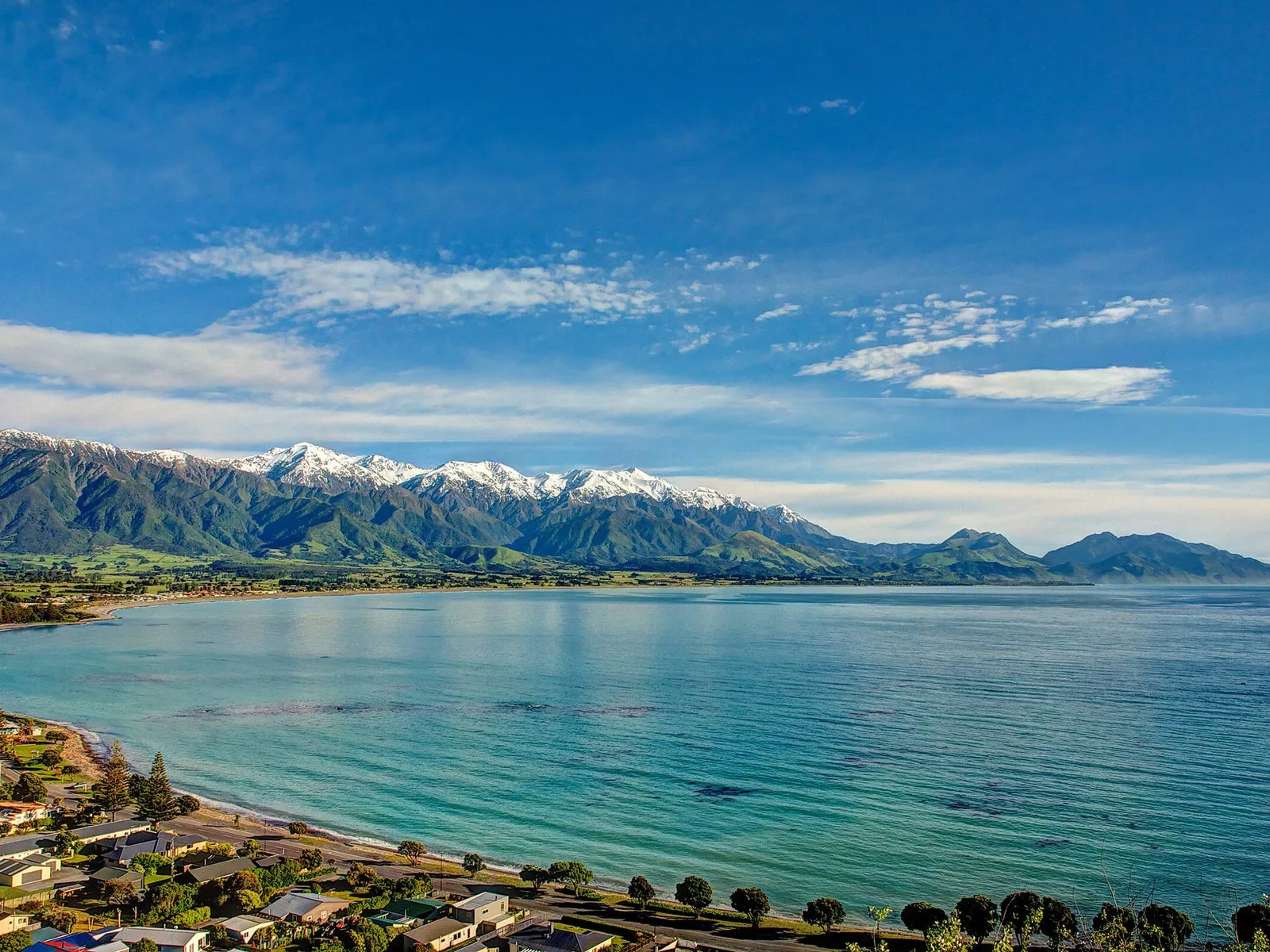 Looking out over Kaikōura