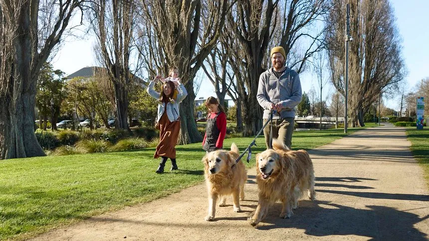 Family walking with dogs at Margaret Mahy waterfront