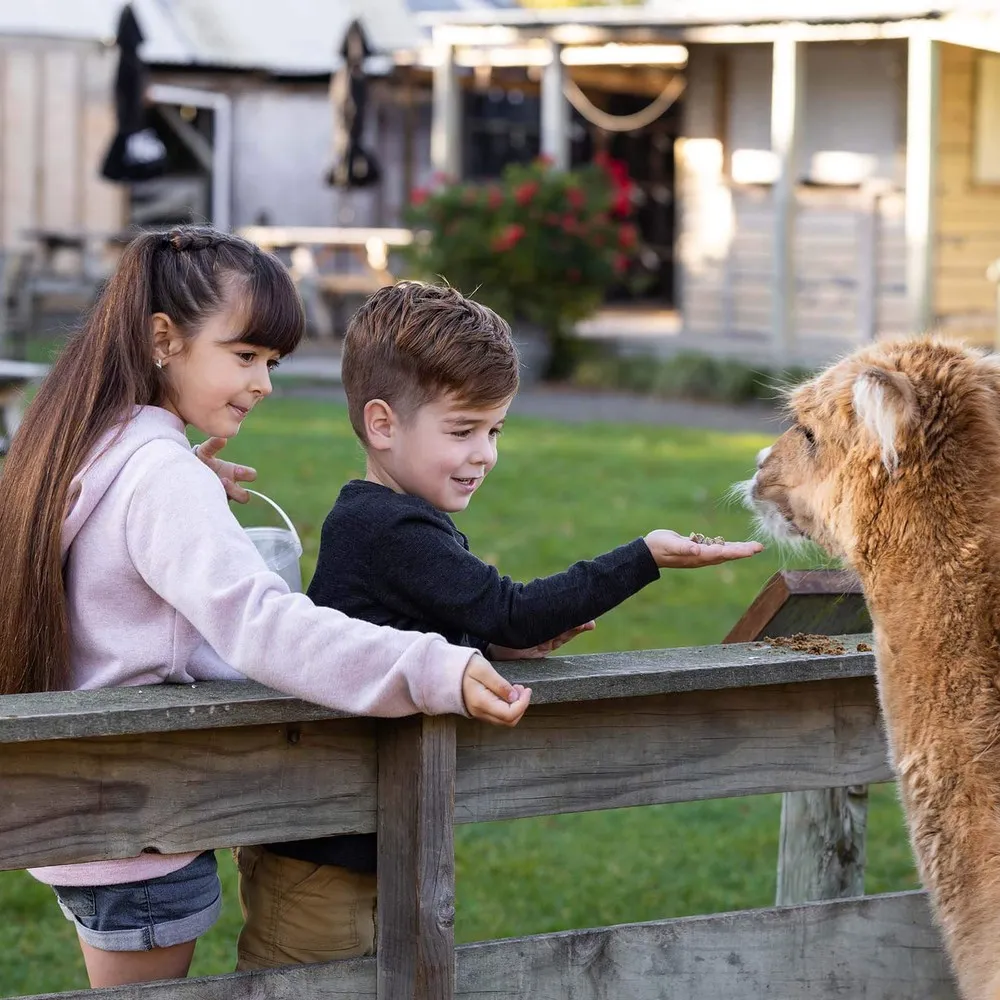 Two children feeding a lama at Willowbank
