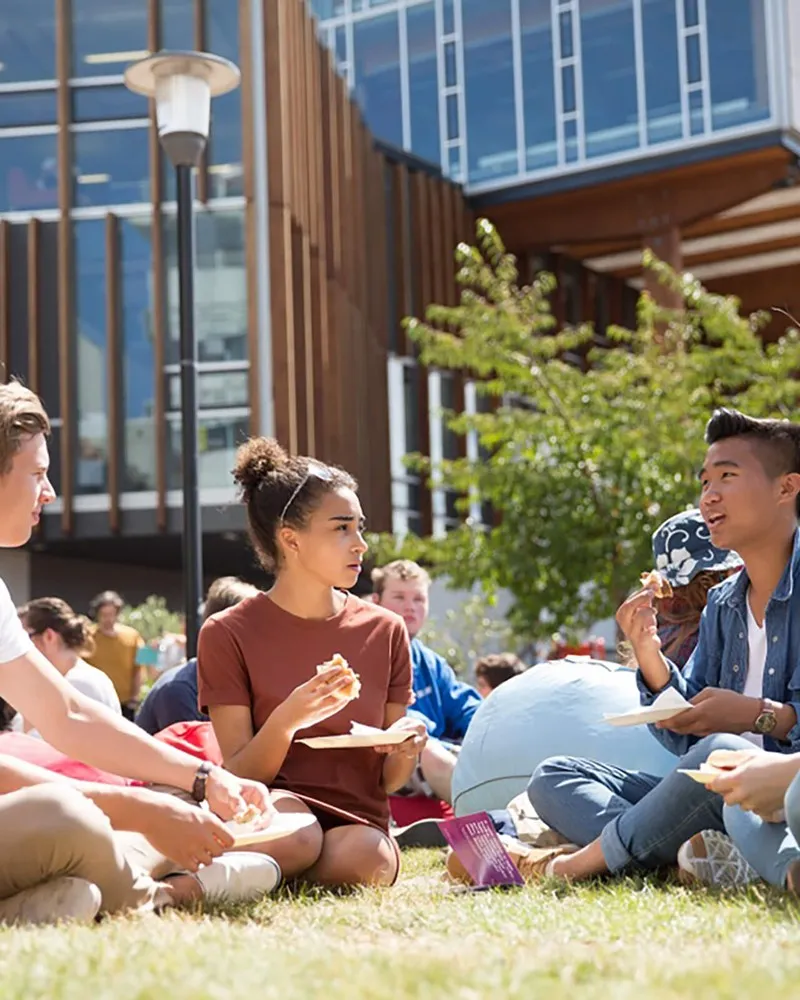 A group of students having lunch outside on the grass