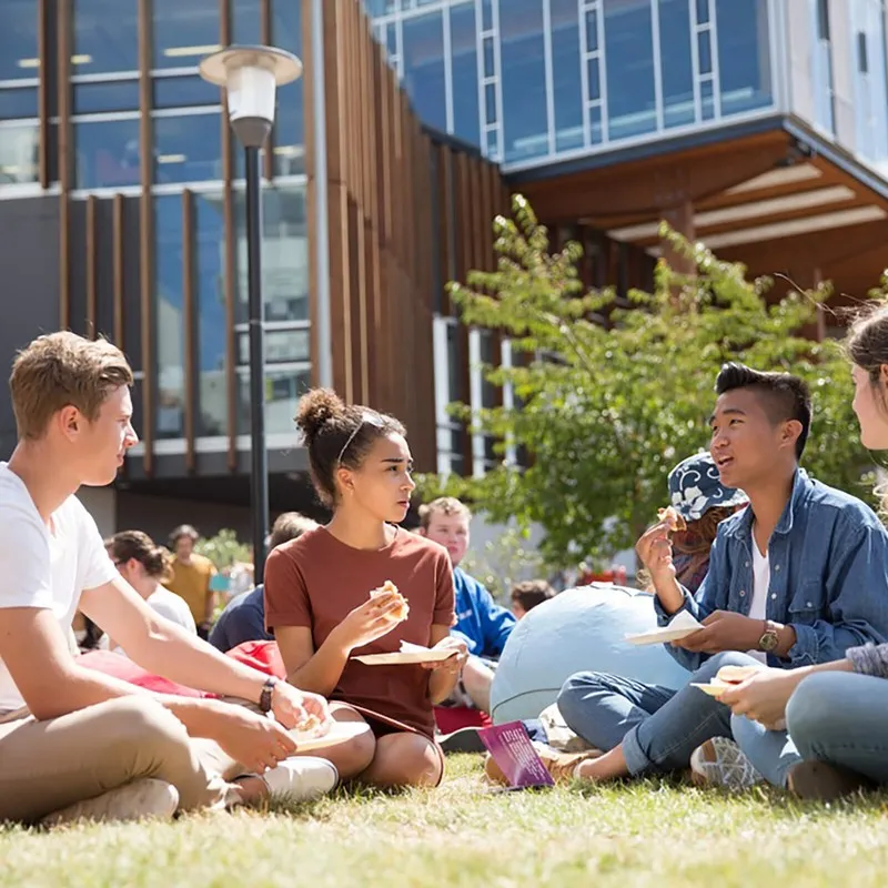 A group of students having lunch outside on the grass