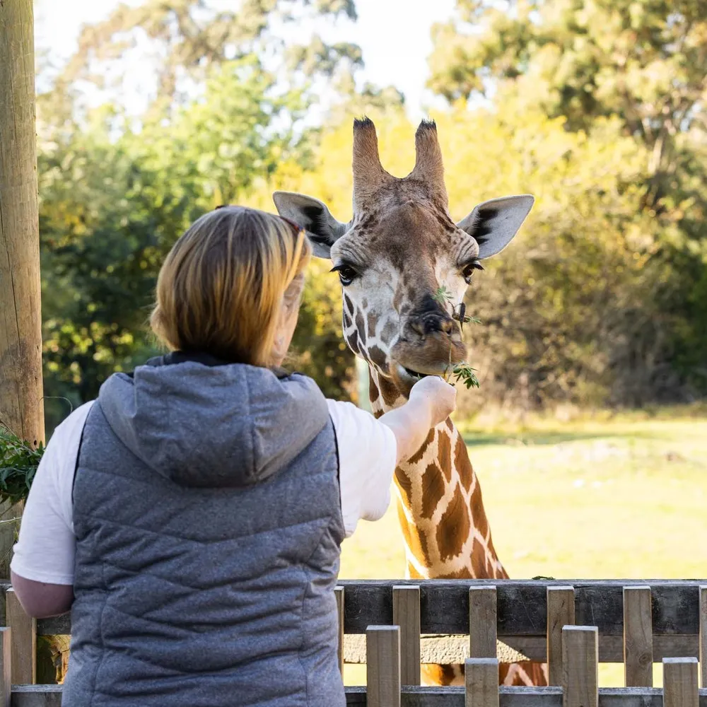 Winter Deals Orana Park