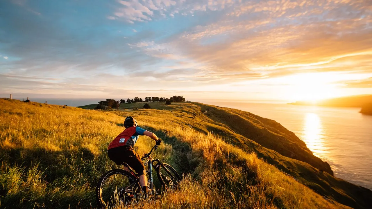 Godley Head Mountain Biking