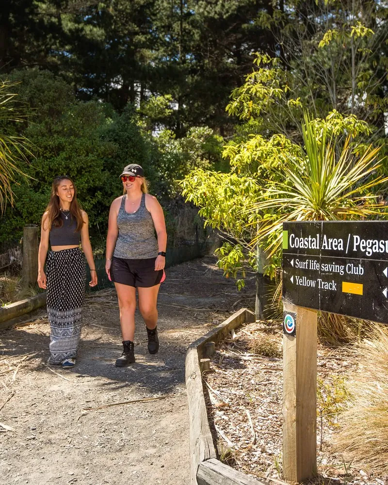 Women walking the Southern Pegasus Walkway