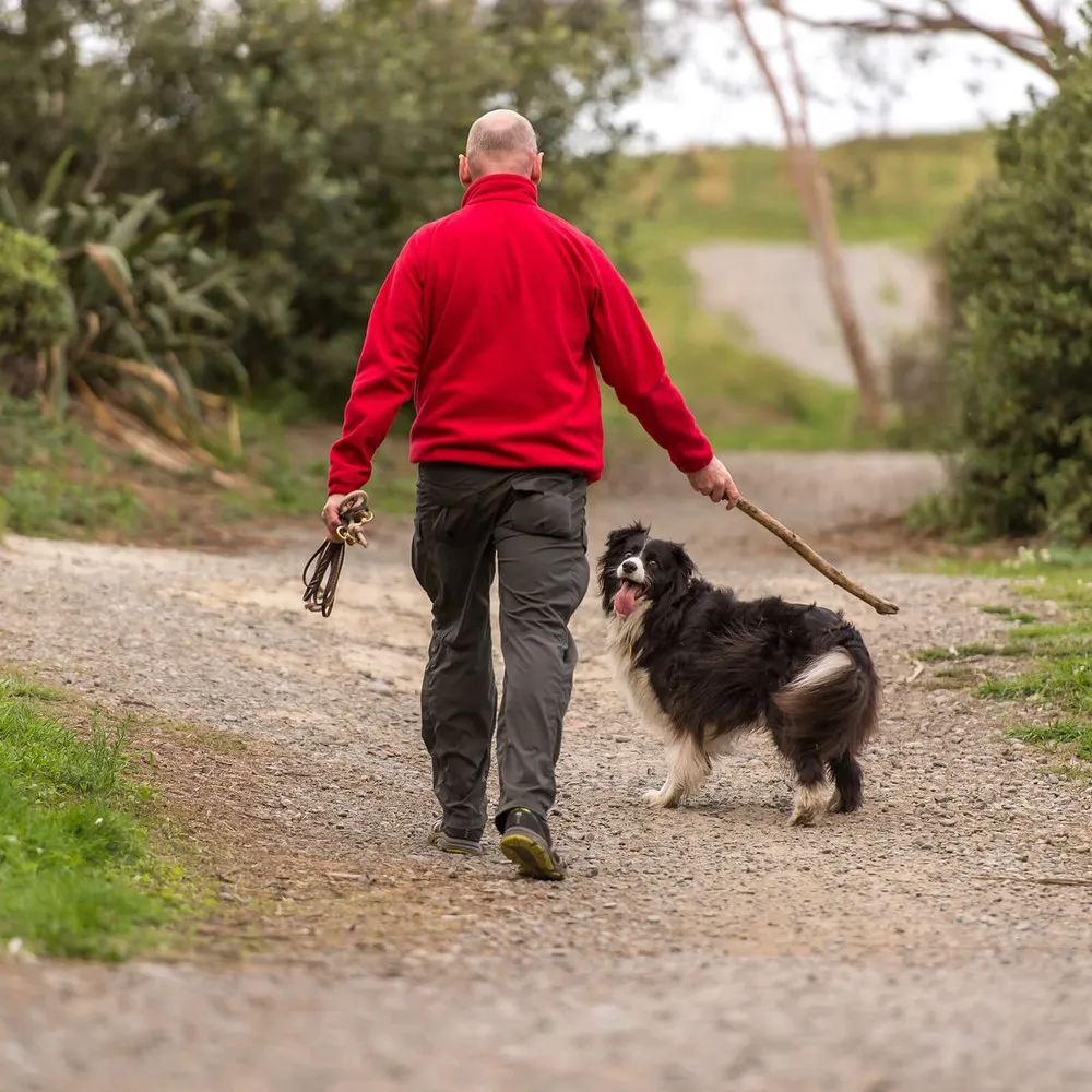 Man walking dog at Bottle Lake Forest