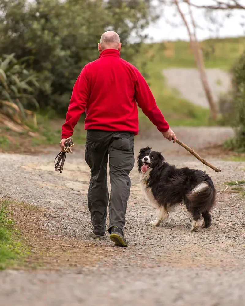 Man walking dog at Bottle Lake Forest