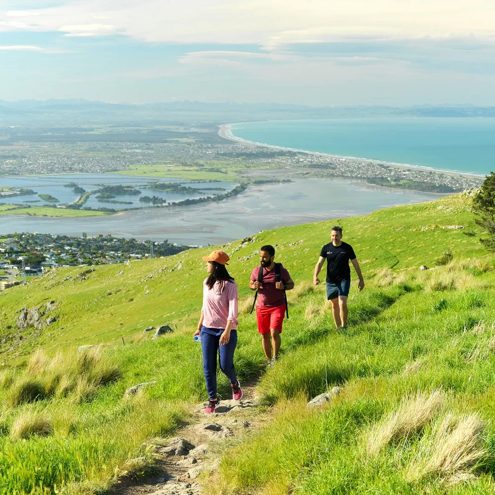 Group of friends walking on the Port Hills